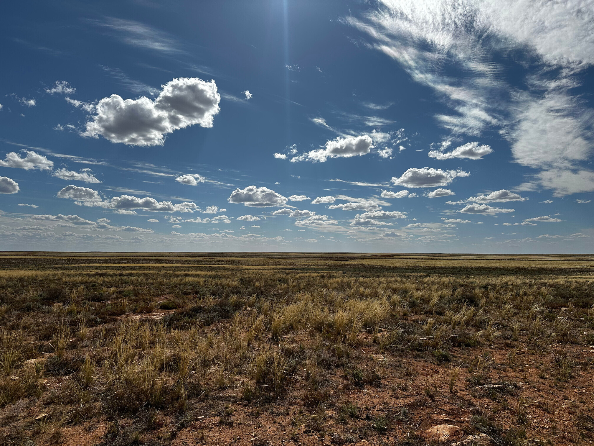 Kybo looking unusually green.
